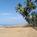 Royal Palms Beach