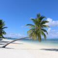 Canareef Resort Maldives