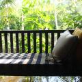 Kaju Green Eco Lodges Hotel