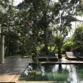 Kaju Green Eco Lodges Hotel