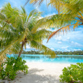 Rahaa Resort