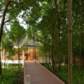 Dreamland -The Unique Sea & Lake Resort, Spa