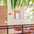 Malahini Kuda Bandos