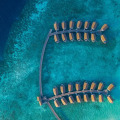 Centara Ras Fushi Resort & Spa Maldives