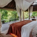 Buahan, A Banyan Tree Escape