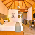 Plumeria Maldives