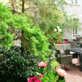 Image 15