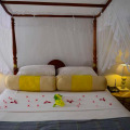 Thambapanni Retreat