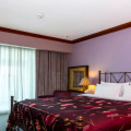 Flora Creek Deluxe Hotel Apartments