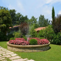 Image 31