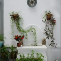 Image 12