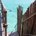 Constance Moofushi