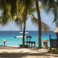 Taj Coral Reef Resort & Spa