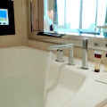 The Meydan Hotel