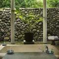 Alila Ubud