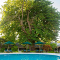 Equator Village