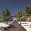 Coco Bodu Hithi
