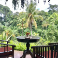 Hotel Tjampuhan Spa