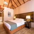 Plumeria Maldives