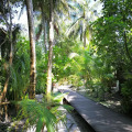 Gangehi Island Resort