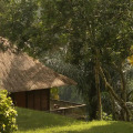 Alila Ubud
