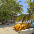 Malahini Kuda Bandos