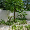Soneva Fushi
