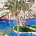 Image 21