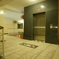 Image 13
