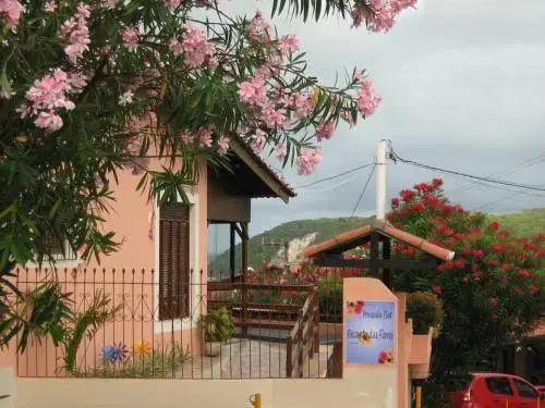 Photo - Pousada Recanto de Ponta Negra