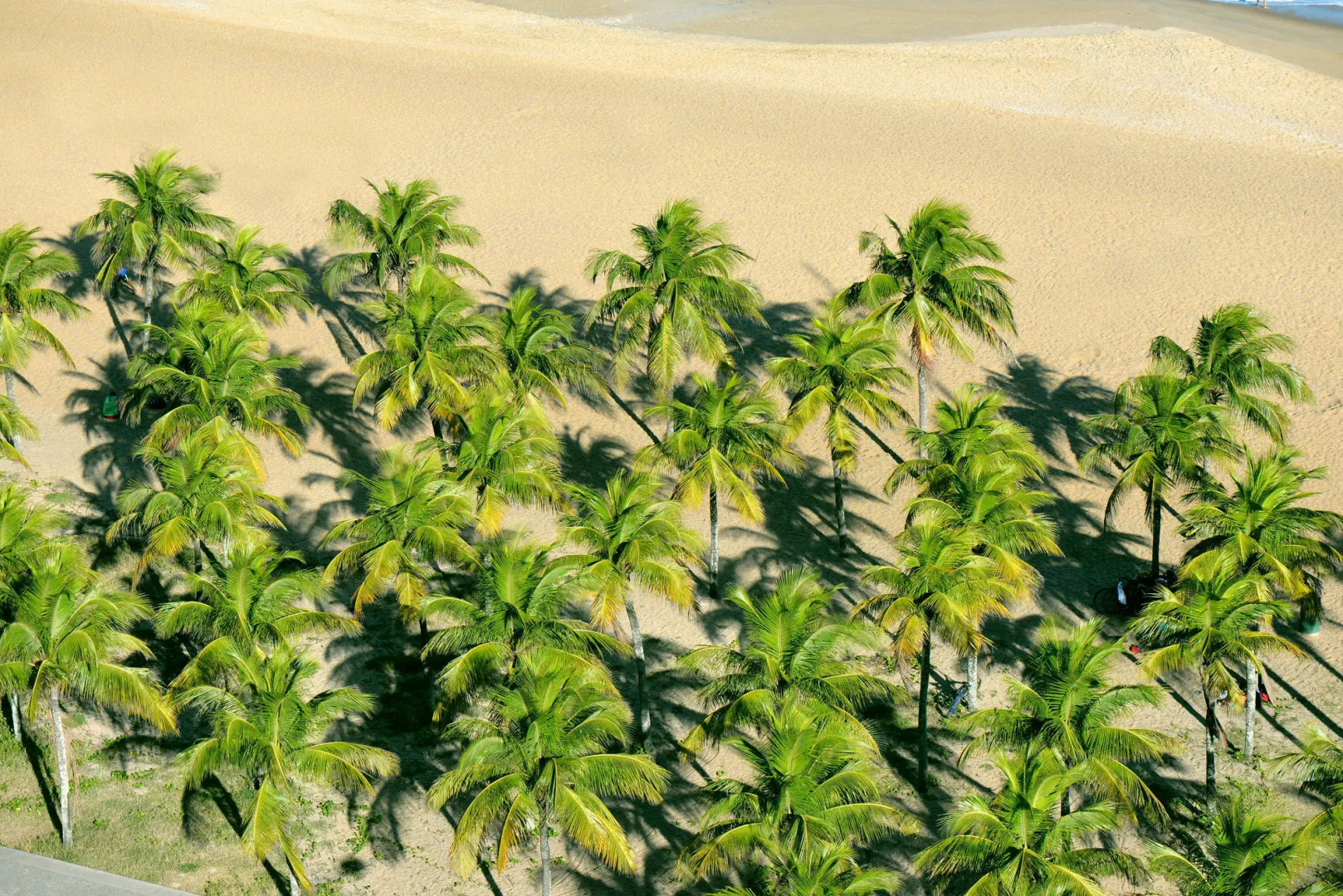 Photo - Slaviero Hotel Vitória