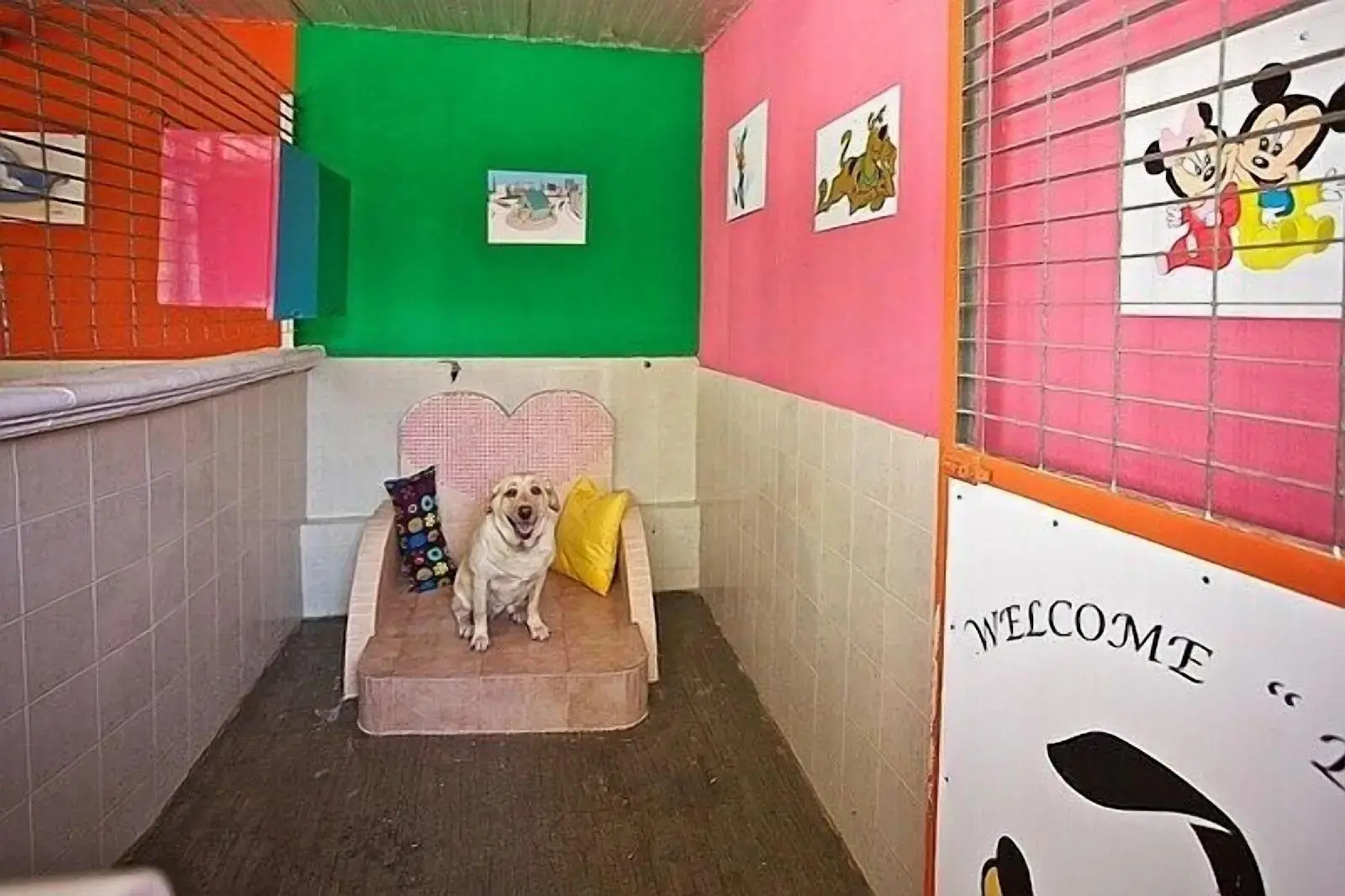 Foto - B&B Barletta Acasamia con Parcheggio Privato