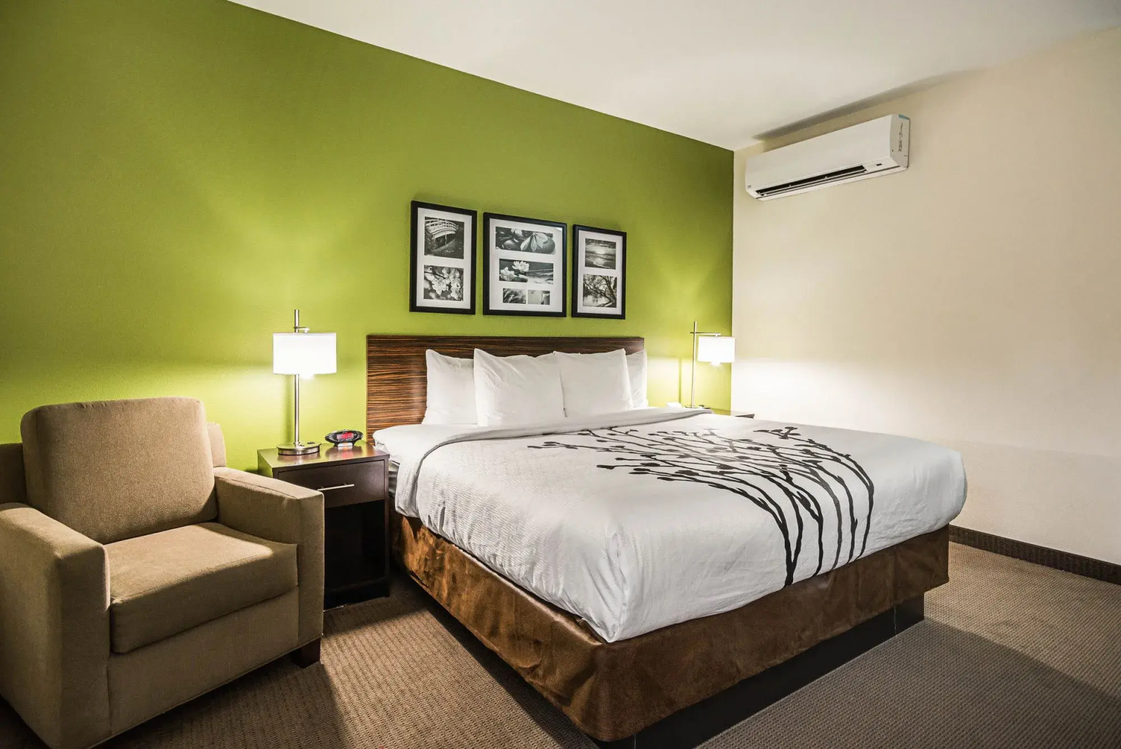 Foto - Sleep Inn Dallas Love Field-Medical District
