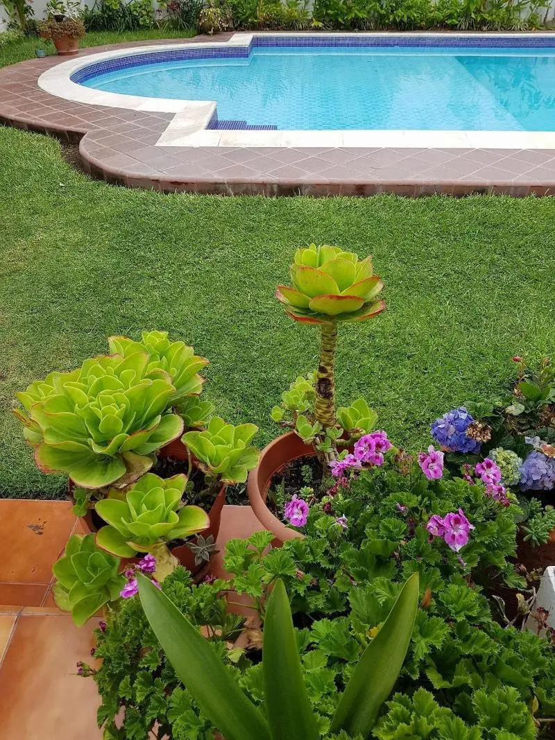 Photo - Perla Maya Hotel