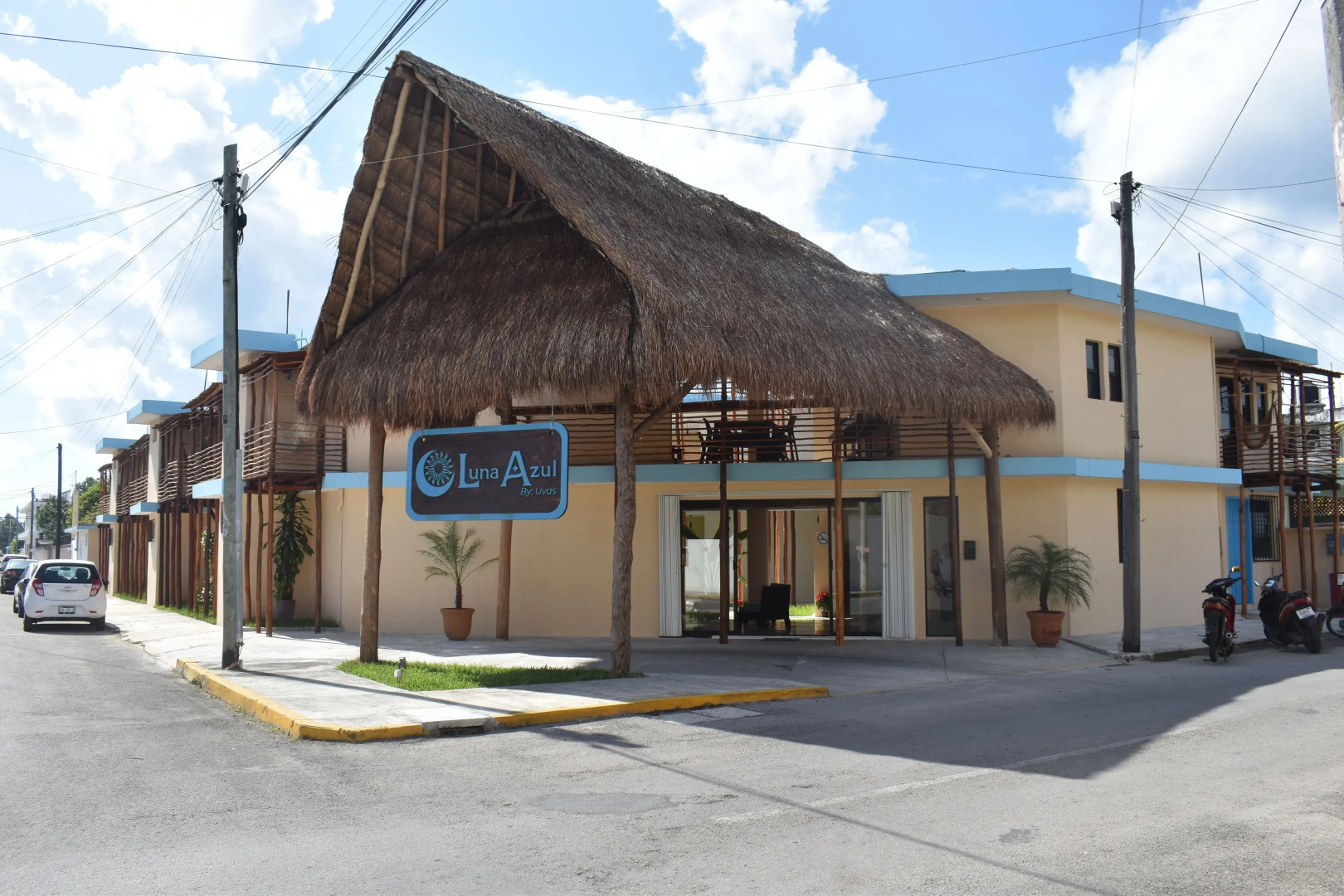 Photo - Luna Azul By Uvas