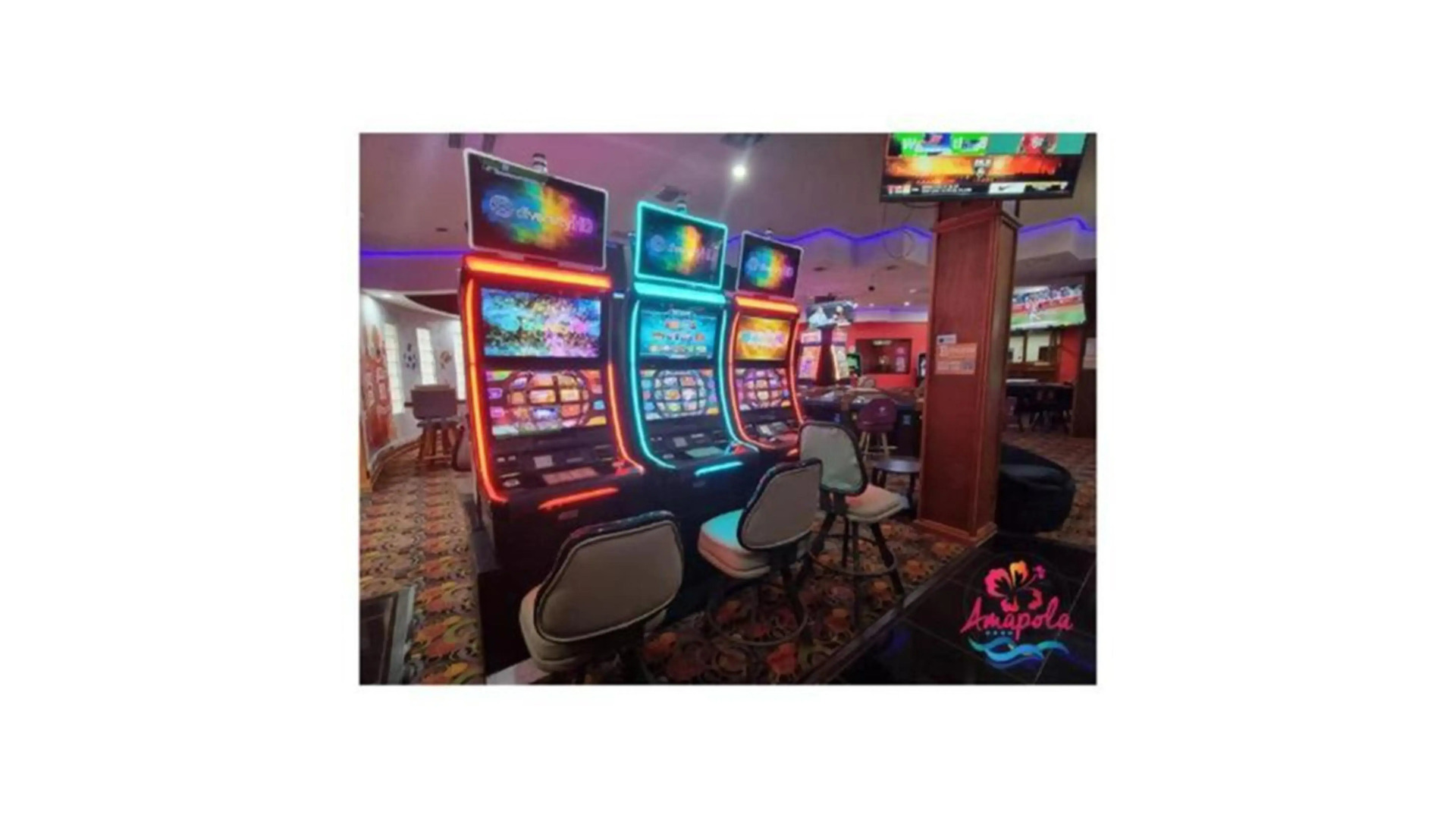 Photo - Amapola Resort