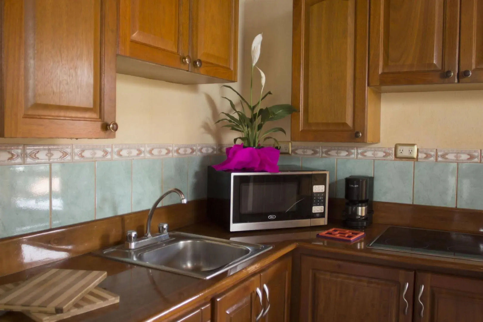 Photo - Amapola Resort