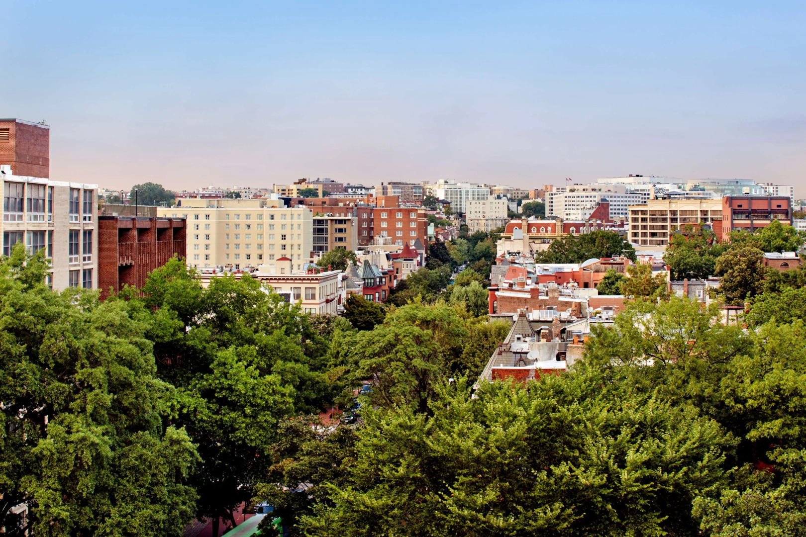 Foto - Eurostars St Gregory Dupont Circle Georgetown