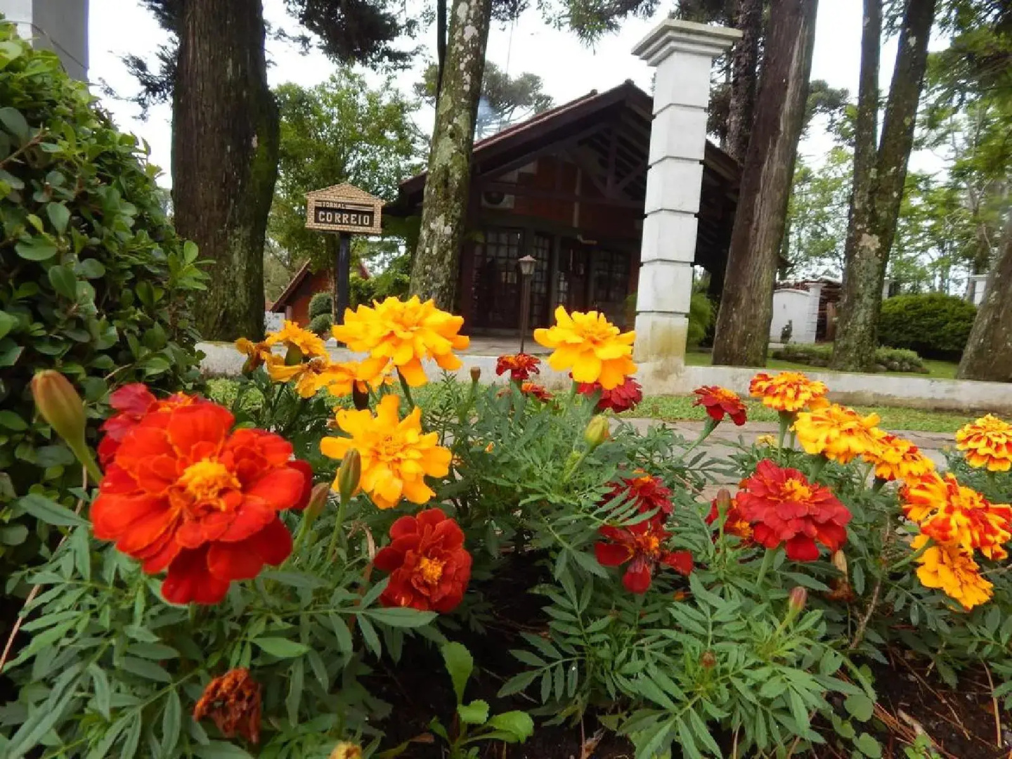 Foto - Hotel Cabana Jardim De Flores