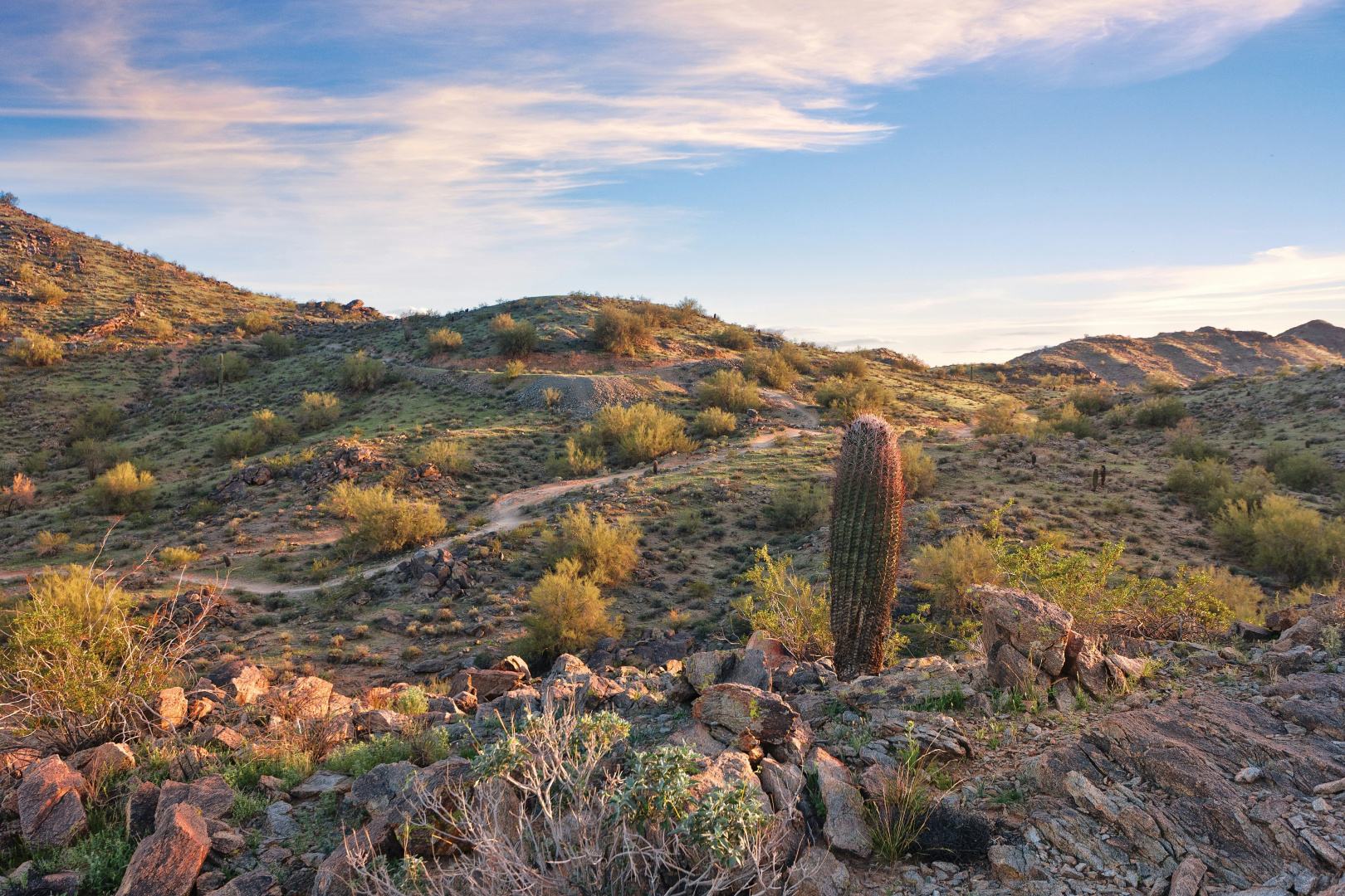 Photo - Raintree at Phoenix South Mountain Preserve