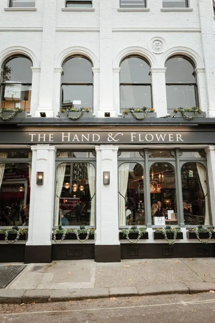 Photo - Hand & Flower