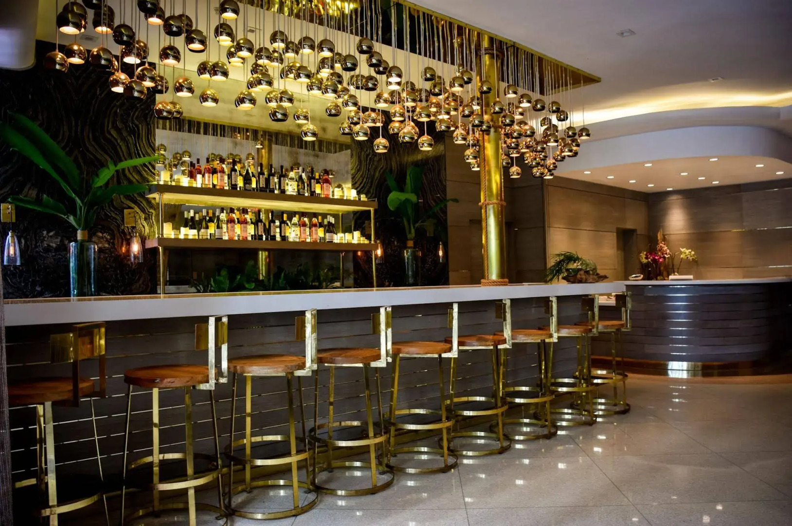 Foto - San Juan Hotel Miami Beach