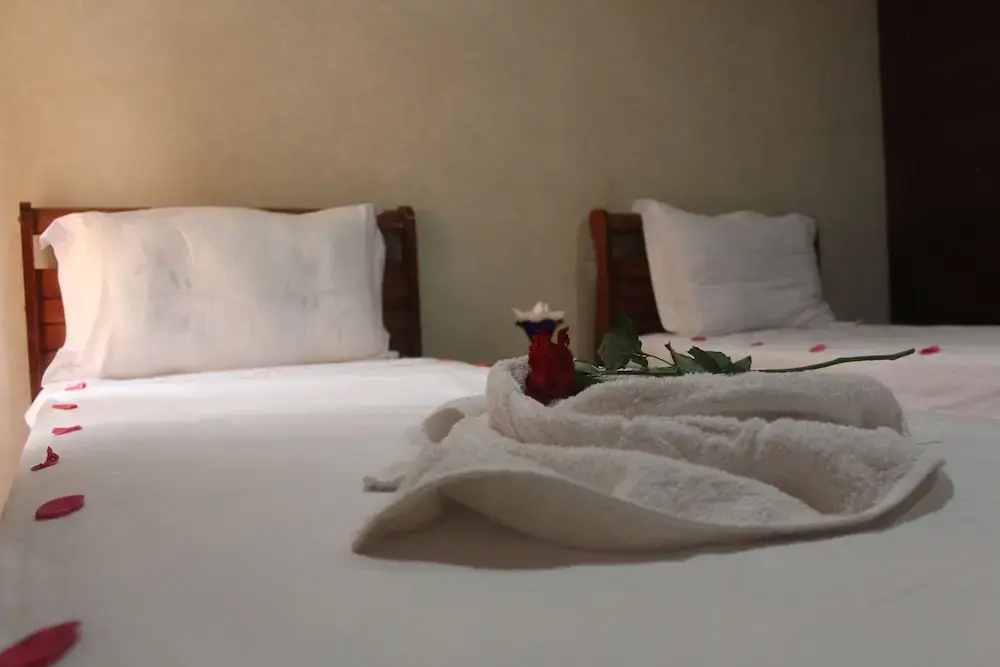 Foto - Rooms Palace