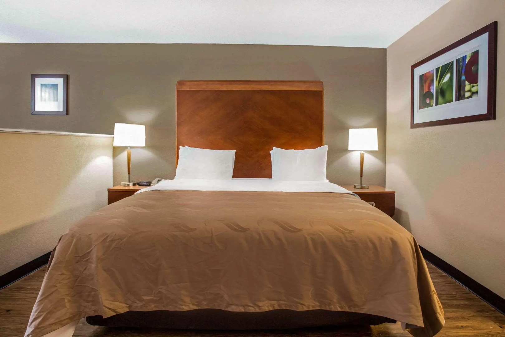 Foto - Quality Inn & Suites University Area