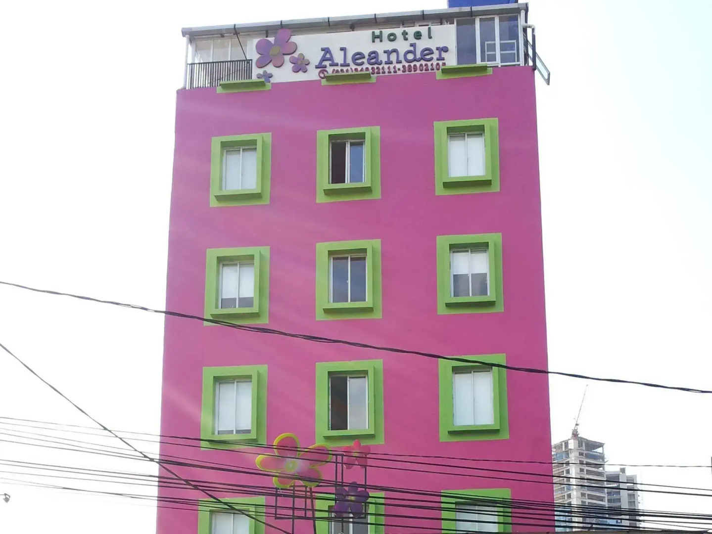 Foto - Hotel Aleander
