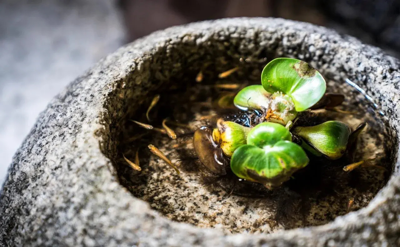 Foto - Homm Stay Nagi Shijo Kyoto By Banyan Group