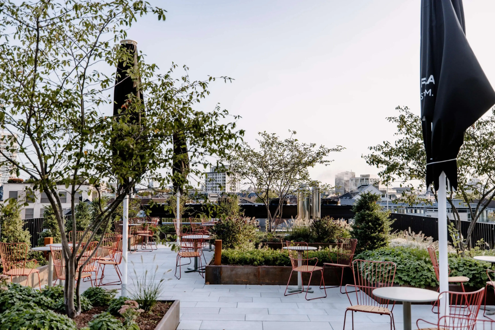 Foto - THE FLAG West M.