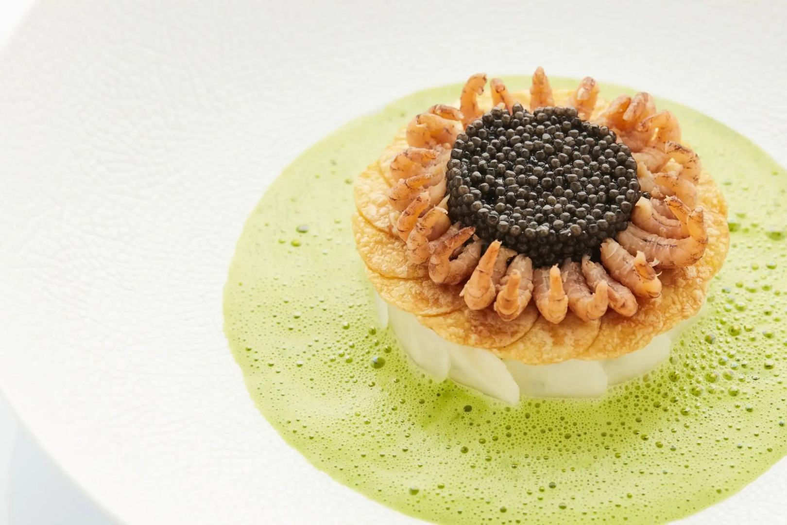 Foto - Botanic Sanctuary Antwerp - The Leading Hotels of the World