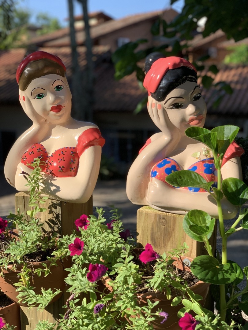 Foto - Hotel São Sebastião da Praia