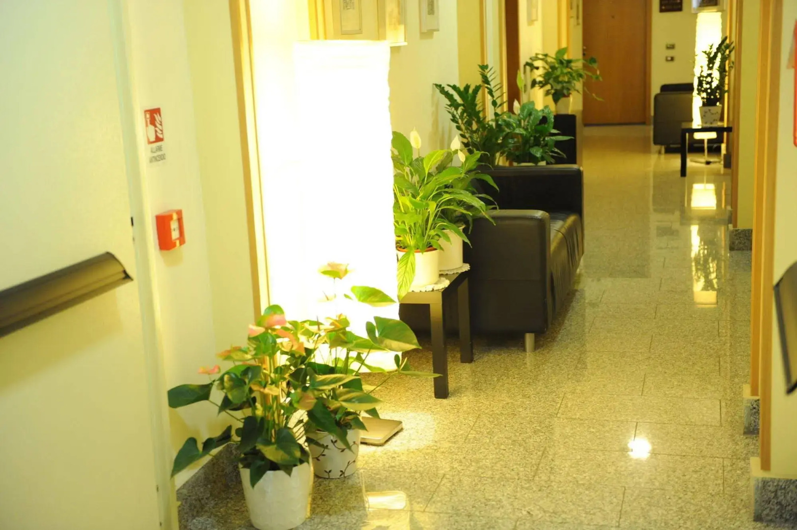 Foto - Lux Appartamenti